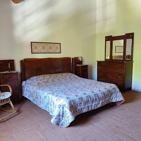 Casa Daria, Armonia Del Passato Nel Rispetto Della Natura Donoratico Exterior foto